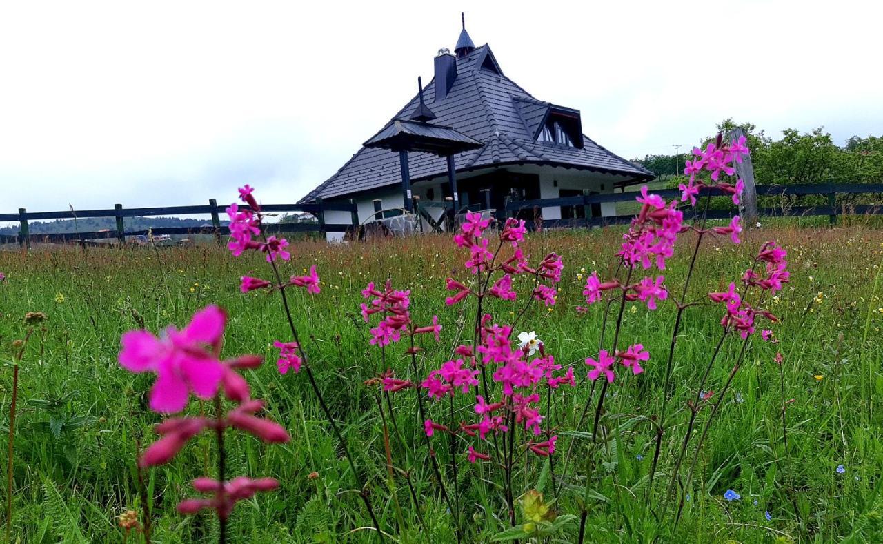 Villa Casa Mila Zlatibor Exterior foto